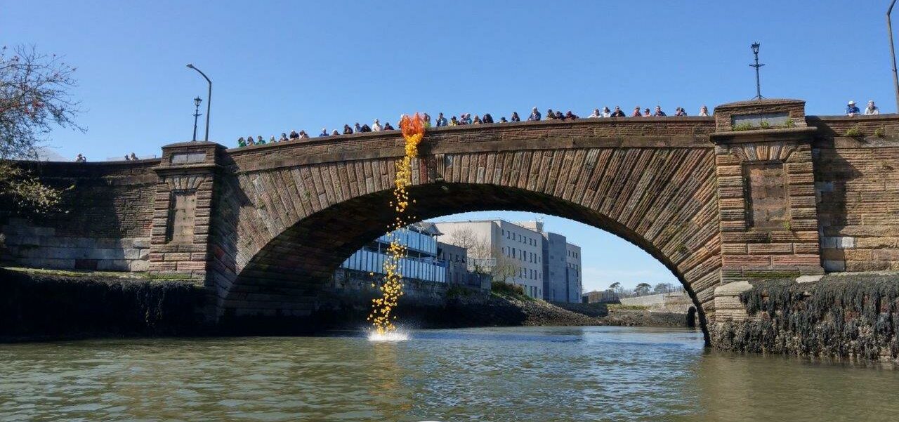 rubber ducks being dropped from devonshire bridge in Dungarvan for the RNLI Duck Race event